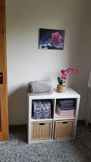 Ferienwohnung Im Herzen Der Lueneburger Heide 索尔陶 外观 照片
